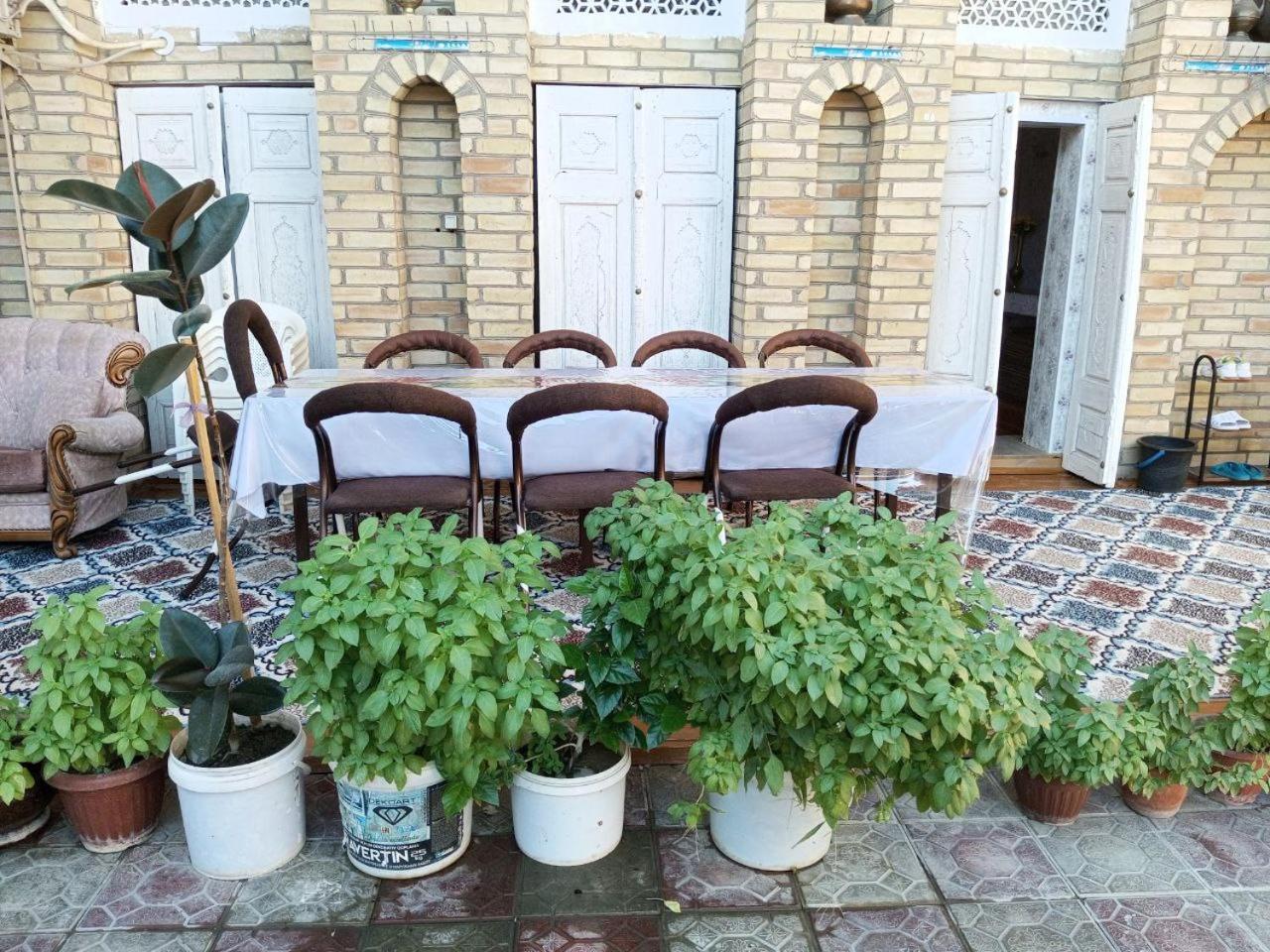 Hotel Sohibqiron Boutique Bukhara Exterior foto
